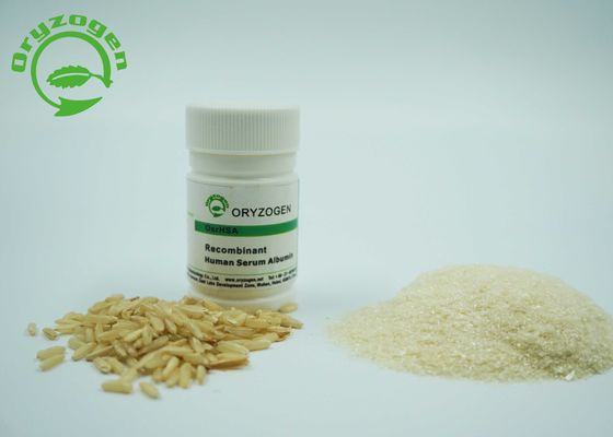 Groter dan 99% Recombinante HEEFT de Zuiverheid rHSA Vorst - droog Poeder 4,8 pi