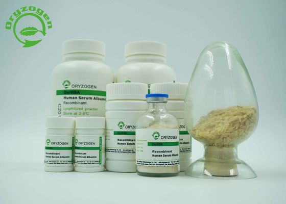 Het wit aan Licht Beige Gevriesdroogd Recombinant Poeder HEEFT Gediplomeerde ISO