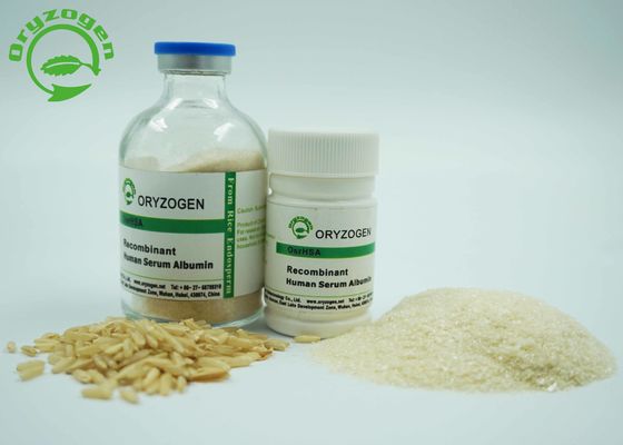 Gediplomeerde Recombinant van ISO HEEFT Licht Beige Gevriesdroogd Poeder