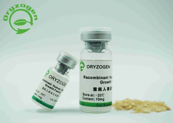 Recombinante Menselijke Epidermale de Groeifactor 1 × 10^6 Unitis/Mg Bio-activiteit door de Celanalyse van Balb/C 3T3