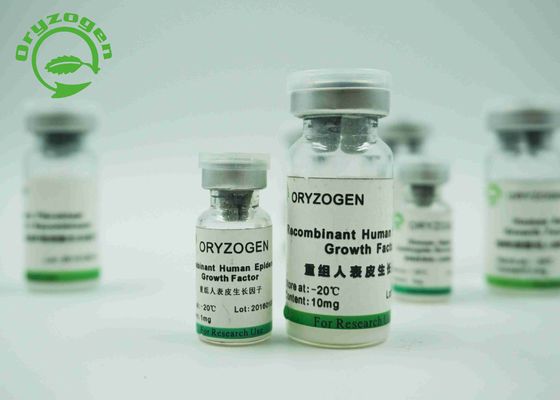 De gist leidde Recombinante Epidermale de Groeifactor 6.3KD Menselijke EGF voor Serum af - Vrij Middel