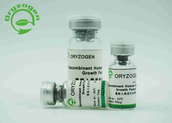 Van de de Groeifactor van EGF het Epidermale Witte Gevriesdroogde Poeder met Endotoxin de minder dan 1,0 EU/mg
