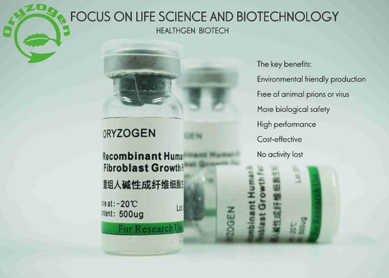 Van de Oorsprongs het Recombinante bFGF van de rijstkorrel Molecuulgewicht van de de Groeifactor 17KD