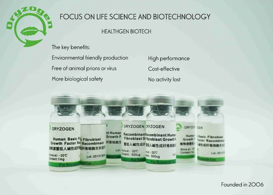17KD installatie Afgeleide bFGF de Groeifactor Basis voor Serum - Vrij Middel