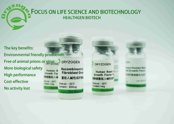 Van de rbFGFgroei van ISO de Gediplomeerde van de Factorenoryza Sativa Oorsprong