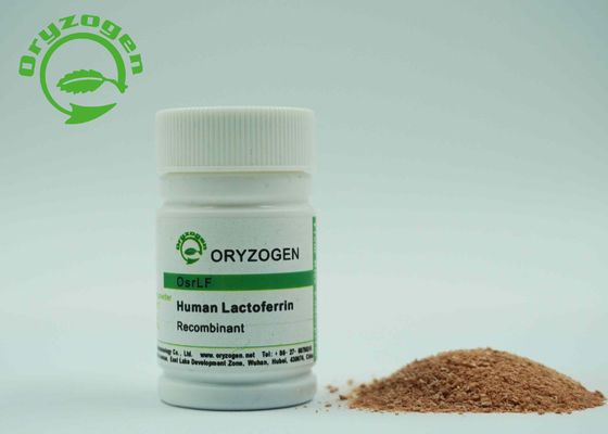 Installatie Afgeleide Recombinante Menselijke Lactoferrin van Lacto Ferrin rhLF met Endotoxin de minder dan 20 EU/mg