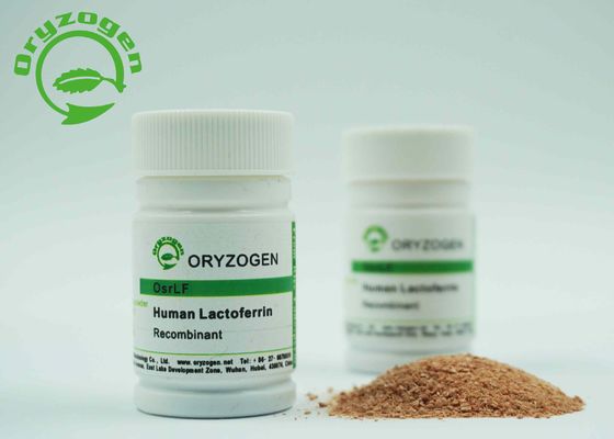 Dierlijk Componenten Vrij Recombinant Lactoferrin Roodachtig Bruin Los Poeder 2-8 ℃ Storaged