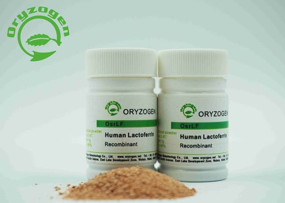 Recombinante Menselijke Lactoferrin Vorst - droog Poeder
