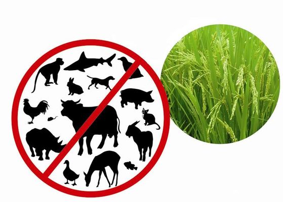 De recombinante Proteïne heeft van Plant met niet - Dierlijke Ingrediëntenendotoxin minder 0.125EU/ug gezuiverd