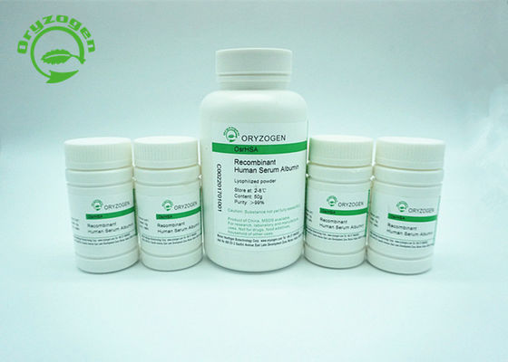 De menselijke Recombinante Serumalbumine HEEFT is structureel en biochemisch Equivalent aan pHSA