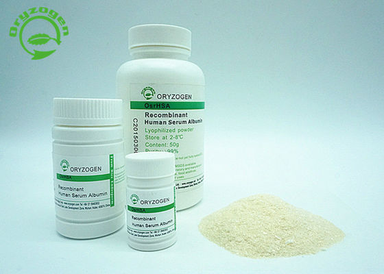 Recombinant HEEFT met Wit om Beige aan te steken Gevriesdroogd Poeder HEEFT Hoge Zuiverheid