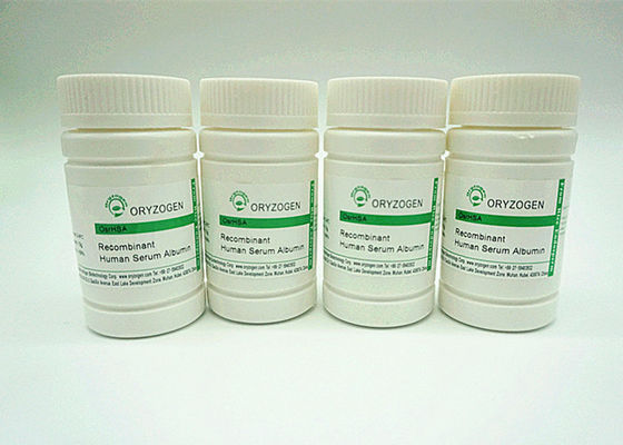 ISO9001 recombinant HEEFT CAS No. 70024-90-7 voortgekomen uit Rijst heeft Hogere Zuiverheid OsrHSA