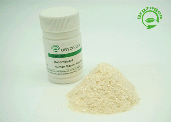 Meer dan 99%-Albumine van het Zuiverheids HEEFT de Recombinante Serum van Wit om Beige Kleurenpoeder aan te steken