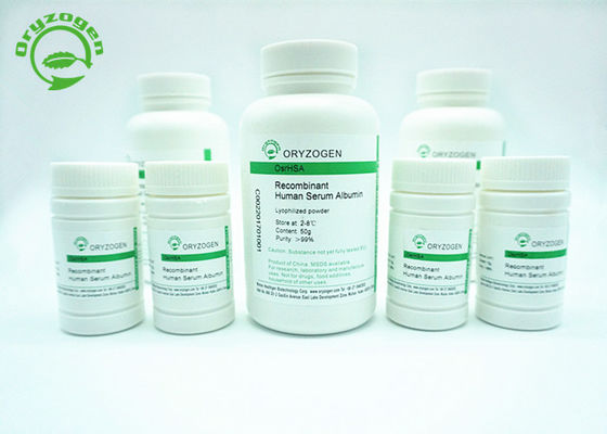 Oryza Sativa is Recombinant voortgekomen uit Plant niet Dierlijke Component RecHSA