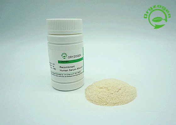 De menselijke Recombinante Serumalbumine HEEFT Wit om Beige Gevriesdroogd Poeder aan te steken