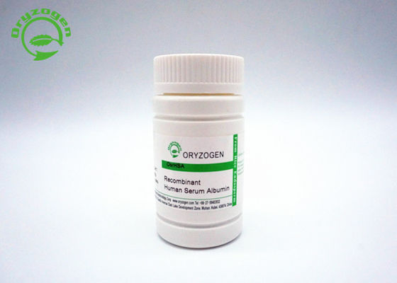 Recombinante Menselijke Albumine 65 van de grote Schaalproductie KD-Molecuulgewicht