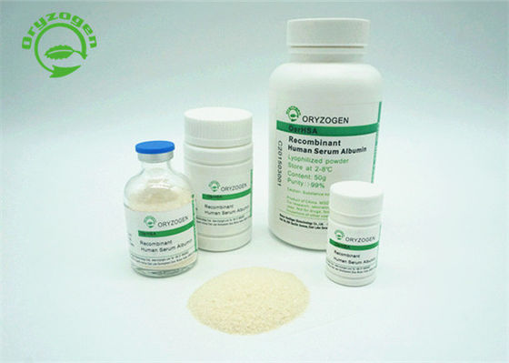 Oryzogen Recombinant Menselijk Albumine Gevriesdroogd Poeder HYC002M01