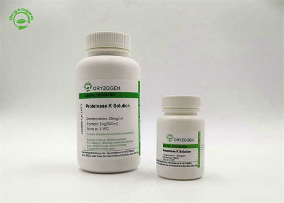 PCR Bulkhoeveelheid van de Rang levert de Recombinante Proteïnase K 39450 01 6