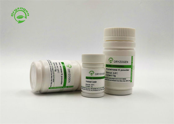 29kD de recombinante Oplossing 20mg/ml van de Proteïnasek Voorraad voor Automatische Extractie