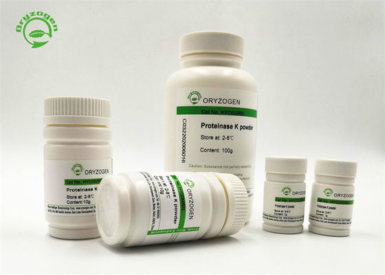 Recombinant PCR van de Oryzogen29kda Proteïnase K Rang Gevriesdroogd Poeder van Pichia Pastoris