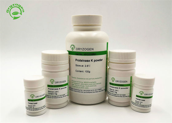Hoge Bio-activiteit Recombinante Proteïnase K voor Genomic-de Extractie van DNA