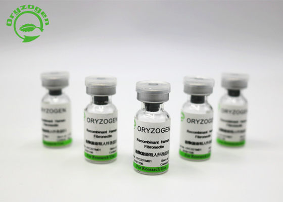 Deklaagagent In Cell Culture Recombinante Fibronectin van Wit Gevriesdroogd Poeder OsrhFN