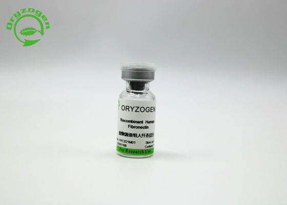 Oryzogen Recombinante Fibronectin verbetert de Prestaties 206kD van de Celcultuur