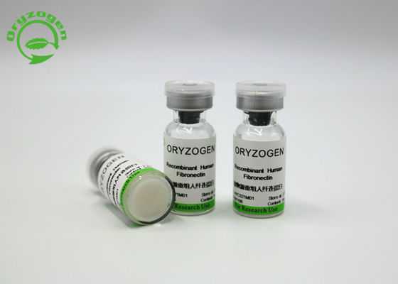 220 KDa Hoge Zuiverheid Recombinante Fibronectin F-N voor het Middel van de Celcultuur HYC021M01