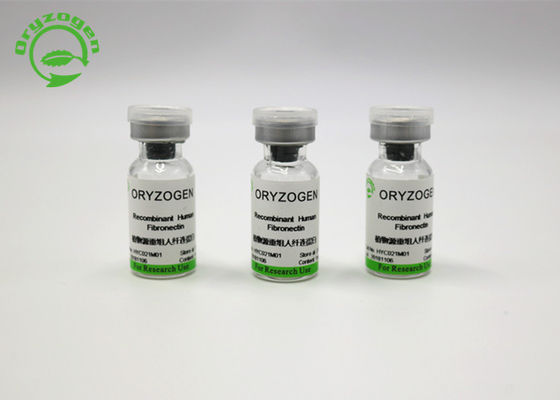 Dierlijke Componenten Vrije Hoge Zuiverheid Recombinante Fibronectin F-N van Sativa Oryza