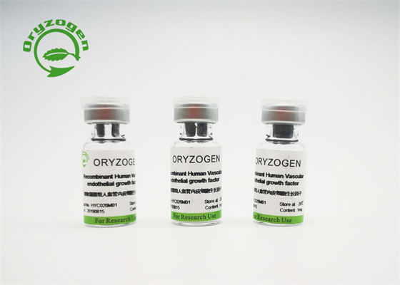 Hoge Zuiverheids Lage Endotoxin Recombinante VEGF CAS No. 127464-60-2