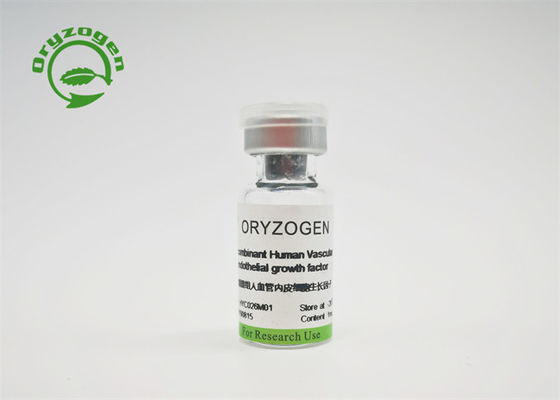 Dierlijke Component Vrije Recombinante VEGF voor Celcultuur
