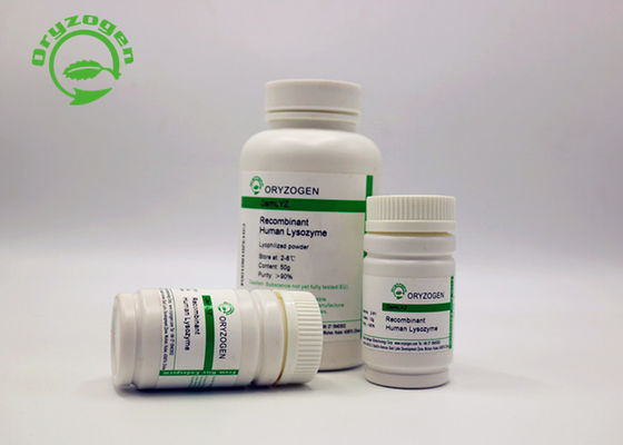 Poeder van het hoge Zuiverheids het Recombinante Lypozyme voor Antimicrobial Toepassingen 9001-63-2