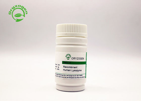 Poeder van het hoge Zuiverheids het Recombinante Lypozyme voor Antimicrobial Toepassingen 9001-63-2