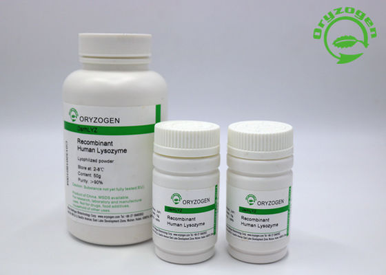 Recombinant het Lypozymelyz Gevriesdroogd Poeder 50g van de diarreebehandeling