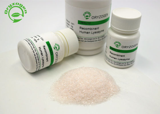 Recombinant het Lypozymelyz Gevriesdroogd Poeder 50g van de diarreebehandeling