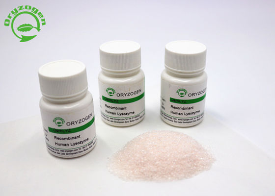 Poeder van het Oryzogen het Recombinante Lypozyme van de Bulklevering CAS No 9001-63-2 van het Rijstplatform