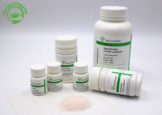 Poeder van het Oryzogen het Recombinante Lypozyme van de Bulklevering CAS No 9001-63-2 van het Rijstplatform
