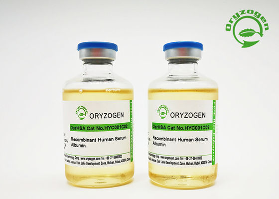 Recombinante Menselijke het Serumalbumine Vloeibare 50mL van de vulstofrang met 20%-Concentratie