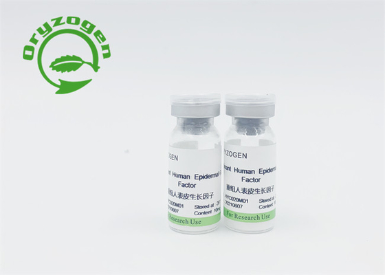 Recombinante Eiwitbfgfvorst van EGF - droog Poeder