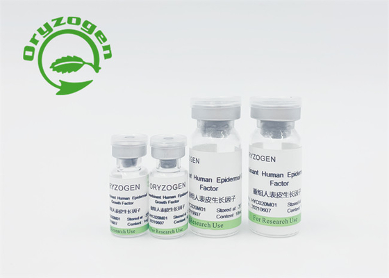 Smaakloze Plant Afgeleide de Groeifactor van EGF bFGF Geen Dierlijke Component
