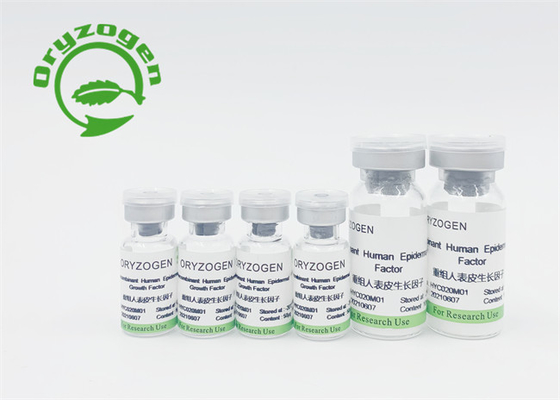 Het recombinante Epidermale Serum van de de Groeifactor voor Skincare