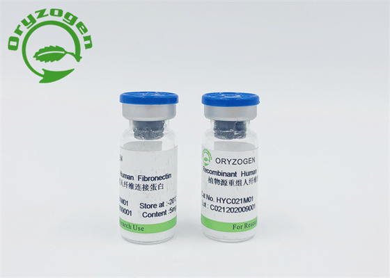Geen Huid Allergische Dierlijke Component Vrije Fibronectin F-N