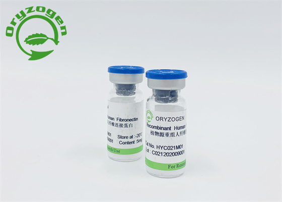 Rijst Korrel Afgeleide Fibronectin F-N met Lage Endotoxin