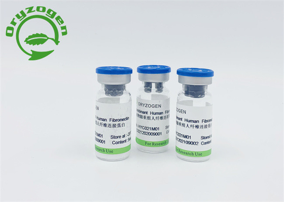 Hogere Bio-activiteit Fibronectin F-N voor het Bevorderen van Celregeneratie en het Herstellen