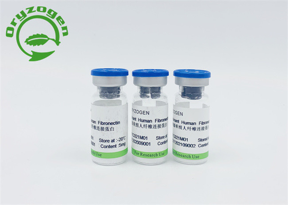 ISO9001 de installatie leidde Recombinante Menselijke Fibronectin af