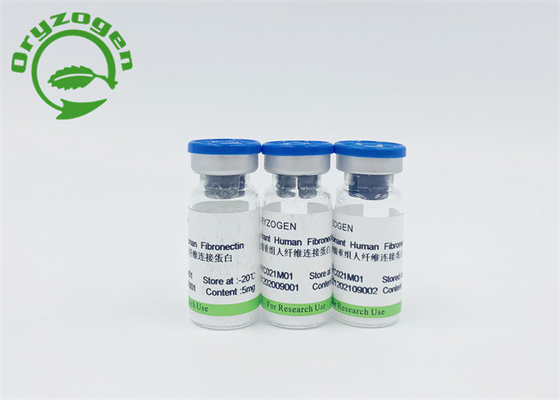 Rijstkorrel Recombinante Menselijke Fibronectin voor F-N-Opsporing