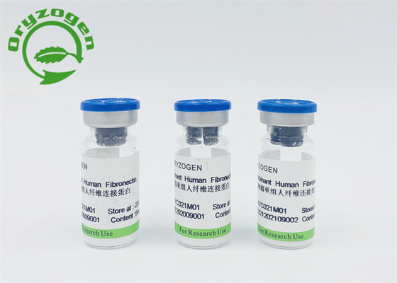 Dierlijke Component Vrije Recombinante Menselijke Fibronectin CAS 86088-83-7
