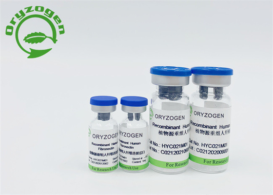 Oryza Sativa Recombinant Menselijk Fibronectin Gevriesdroogd Poeder