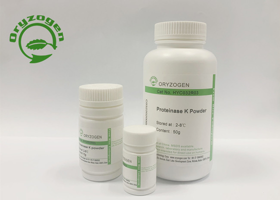 Stabiele Leverings Recombinante Proteïnase K voor Polysaccharidevaccins