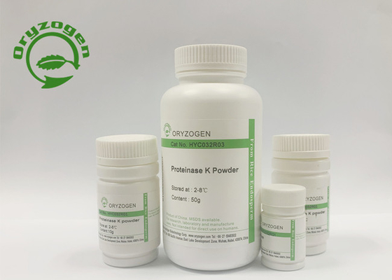 De Recombinante Proteïnase K van 95% Purty voor Monoclonal Antilichamenopsporing
